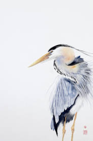 Soazig LEMUR - ARDEA -I