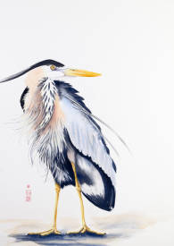 Soazig LEMUR - ARDEA-II