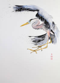 Soazig LEMUR - ARDEA III