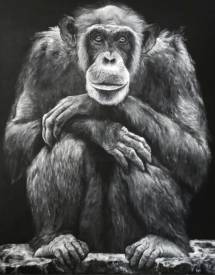 Sylvie LESCAN - Chimpanzé