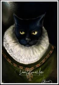 David LORUSSO DI MISTRI - Sir Black Cat