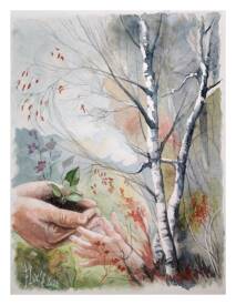 Francis LUCAS - Transmission