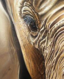 Patricia LUSTRE - L’œil de la terre