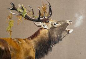 Patricia LUSTRE - L’appel du majestueux