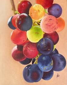 Patricia LUSTRE - Palette naturelle