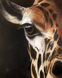 Patricia LUSTRE - Regard d’altitude