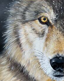 Patricia LUSTRE - IMG_4951.jpeg