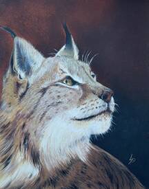 Patricia LUSTRE - L’œil de lynx