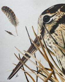 Patricia LUSTRE - IMG_5006.jpeg