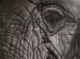 Patricia LUSTRE - L’œil du silence