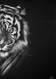  LŸNN - oeil du tigre.jpg