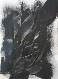  Lys B. - "Série Noire" n°5.jpg