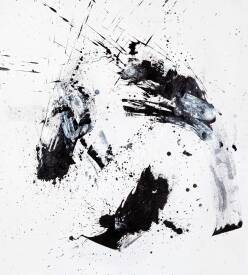 Stephanie MACKENZIE - Motion SOURCE