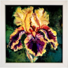 Iryna MALYNOVSKA - F21908 Iris de Feu