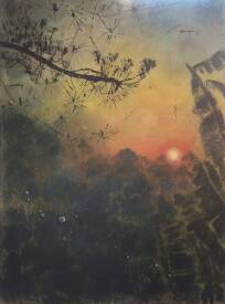 Emmanuelle Gaillard - Manou - Dans la canopée  97x130.jpg