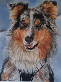 Anne MARGUET - Chien 24x30.jpg