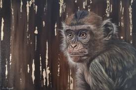 Anne MARGUET - "Gold monkey"