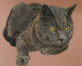 Anne MARGUET - Bébé Jadon pastel 24x30.jpg