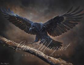 Anne MARGUET - le-messager-le-corbeau.JPG
