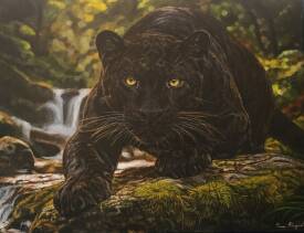 Anne MARGUET - panthera-anne-marguet.JPG