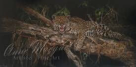 Anne MARGUET - Nuit Amazonienne: Le Jaguar