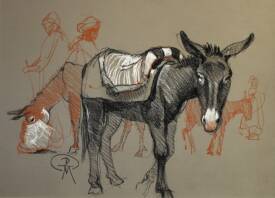 Patrick MARTIN - Etude Anes. Pastel 30x40.jpg