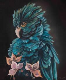 Mary MEHR - BAT_Cacaotoes_38x46.jpg