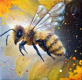 Elise Meyer - Melise - Au cœur du Tournesol