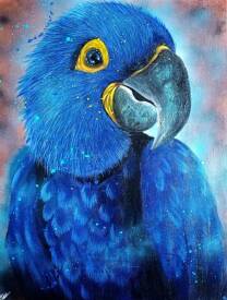 Elise Meyer - Melise - Douceur et plumes bleues