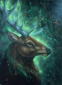 Elise Meyer - Melise - L'Ame du Cerf