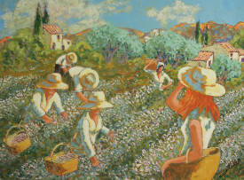 Gérard MICHEL - cueillette du jasmin à Grasse