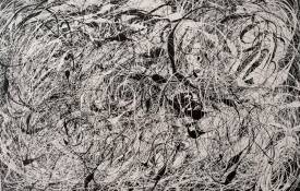 Nadel Nadège MICHEL - BIRDS 80.100 Acrylique 2023 (1).jpg