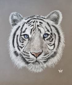 Johanna MIGEON - The Chris tiger