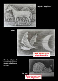 Calogero-Lilo dit Mister Lilo - Animaux  ("Stolen works" Collection)