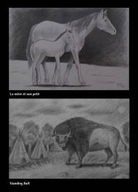 Calogero-Lilo dit Mister Lilo - animaux  ("Stolen works" Collection)