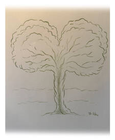 Calogero-Lilo dit Mister Lilo - Sacred Tree