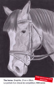  Mister Lilo - The Horse