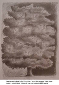  Mister Lilo - Tree of life