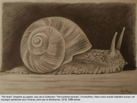  Mister Lilo - The snail