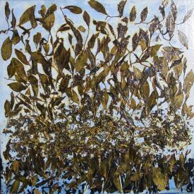 Marie José MORGAT PETIT - Alishan n°37, 50-50 cm.JPG