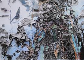 Marie José MORGAT PETIT - Alishan n°1.JPG