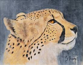 Brigitte MORISSON - cheetah