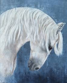 Brigitte MORISSON - white Andalusian