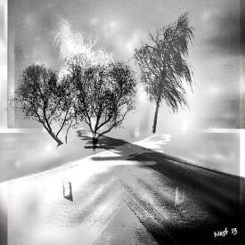 André Lopes dit NEST - winter-shades-nest-lopes.jpg