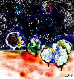 André Lopes dit NEST - mindscape-n4-nest-lopes.jpg