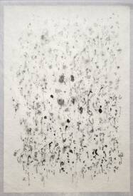 Frédérique NOLET de BRAUWERE - Transparences 16.11.25. Musée des Beaux-Arts de Charleroi