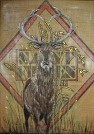 Tania OHSE - DSC01833.JPG