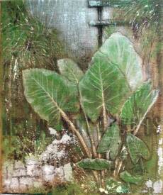 Tania OHSE - DSC02258.JPG