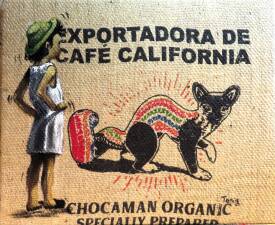 Tania OHSE - IMG_1355.JPG