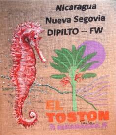 Tania OHSE - DSC08858.JPG